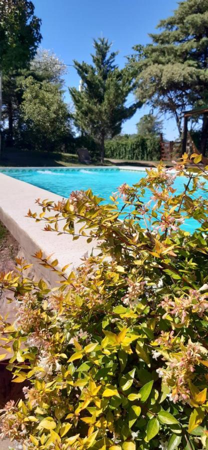 Cabanas Farah Estancia Vieja Ideal Para 2 A 3 Huespedes Villa Carlos Paz Exteriér fotografie
