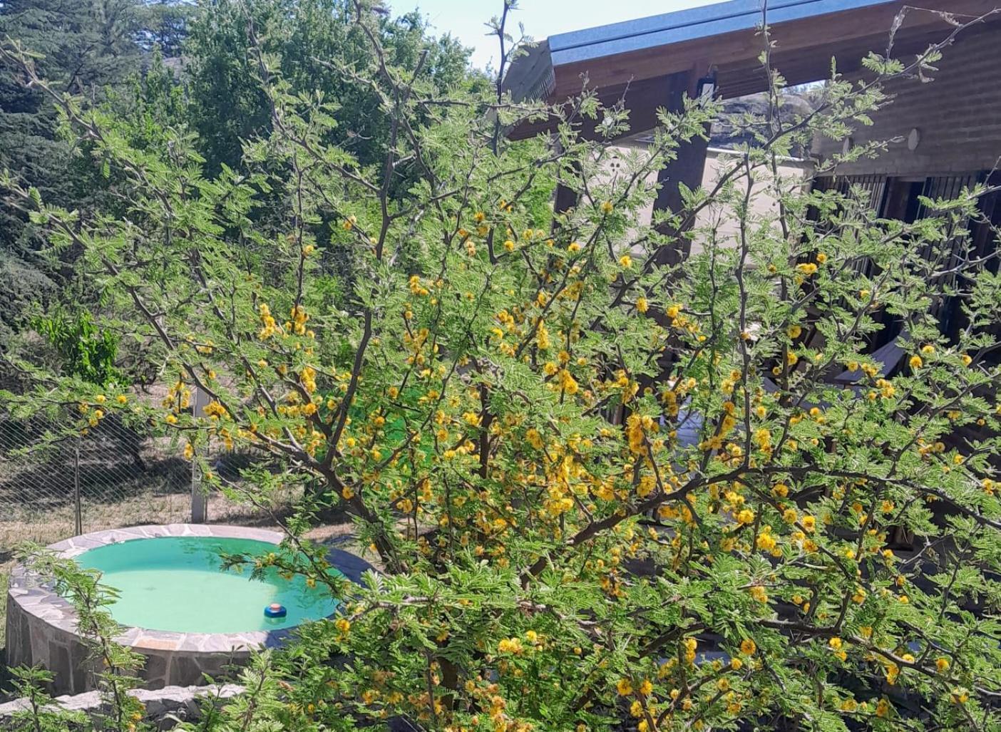 Cabanas Farah Estancia Vieja Ideal Para 2 A 3 Huespedes Villa Carlos Paz Pokoj fotografie